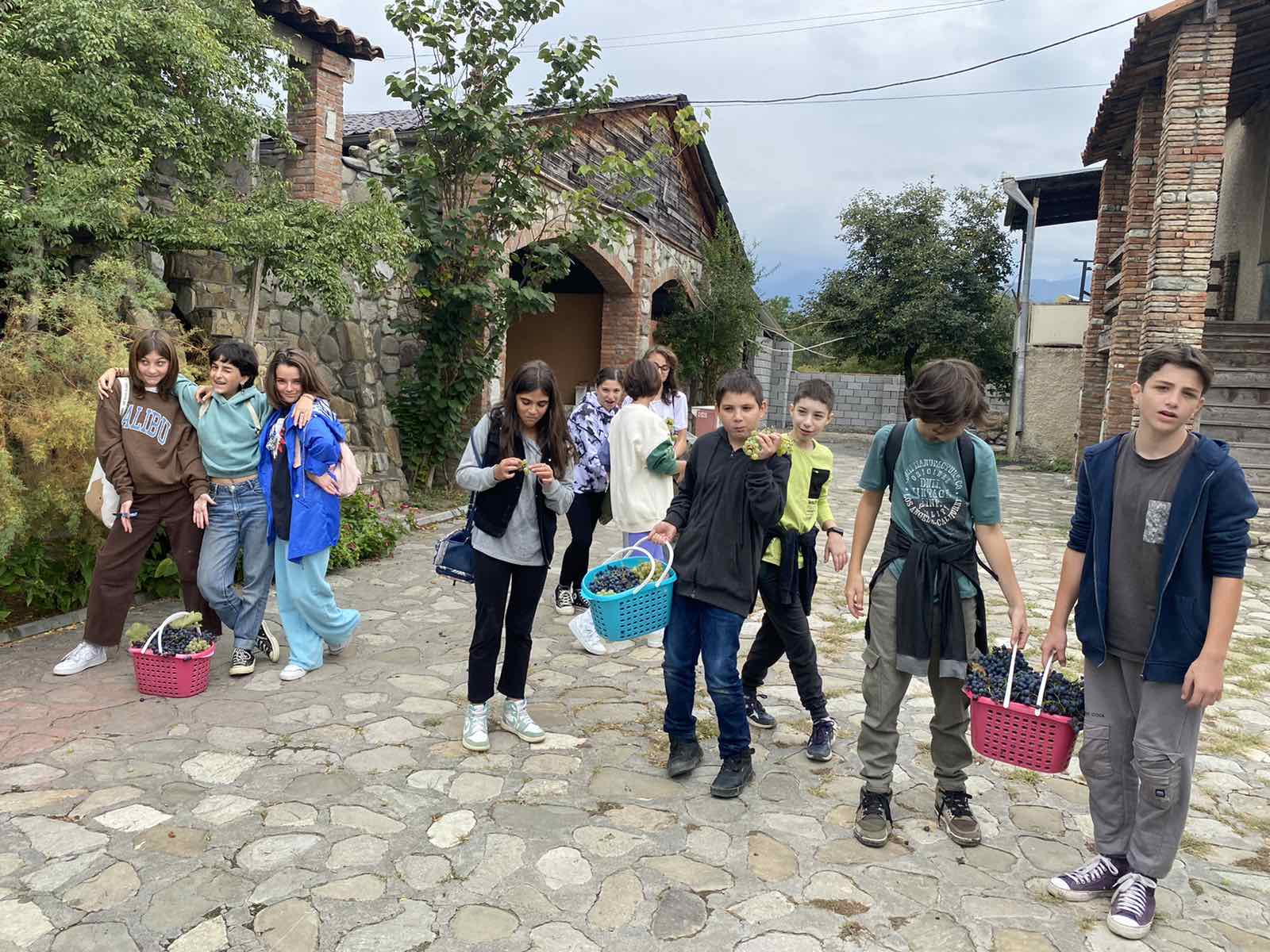 რთველი 2022
